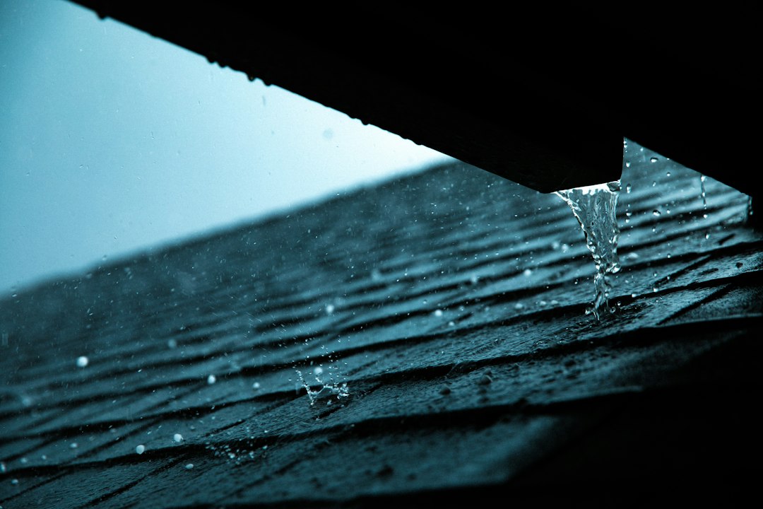 Roof Drip Edge: What It Does and Why the Roof Edge Needs It