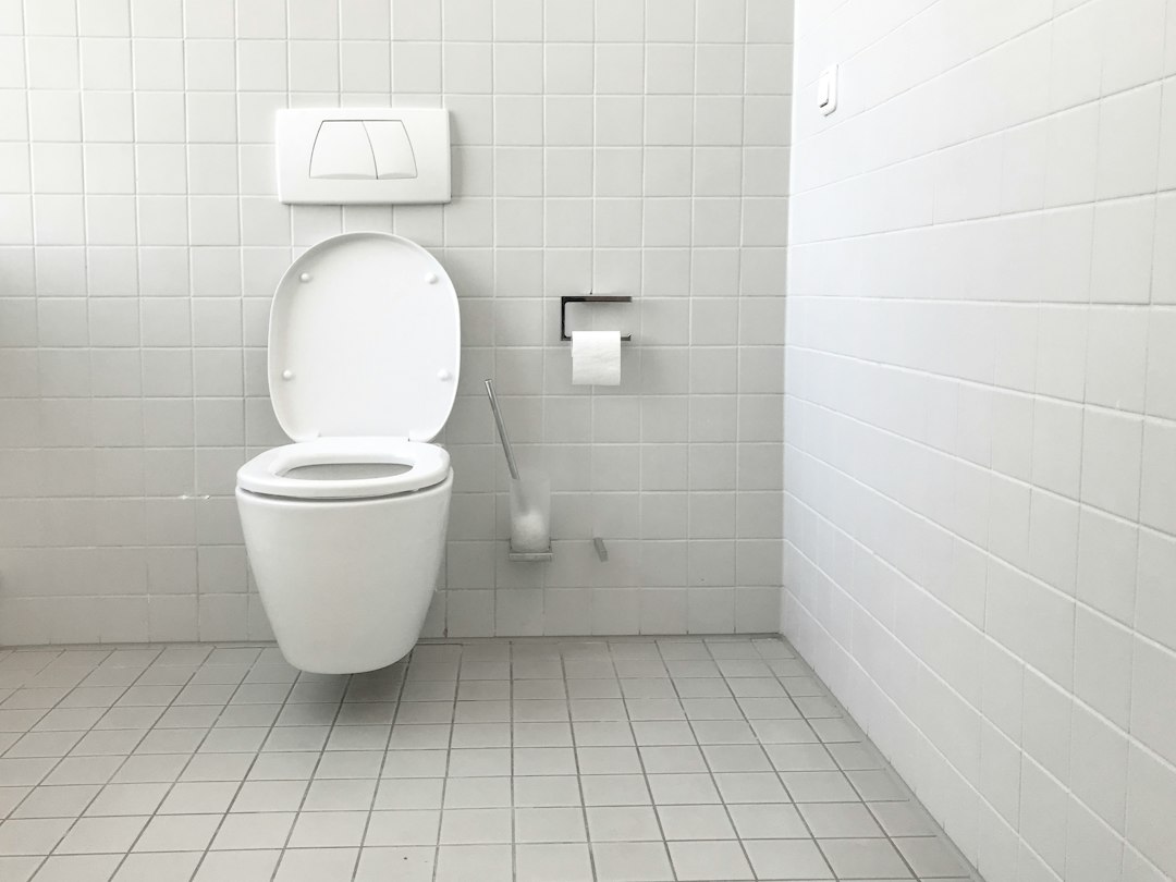 Toilet Keeps Running After a Flush? 6 Things to Check in the Tank