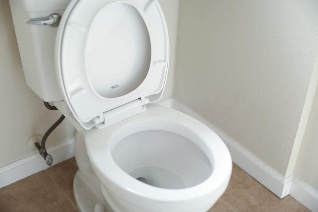 The 10-Minute Toilet Dye Test: How to Find a Silent Leak