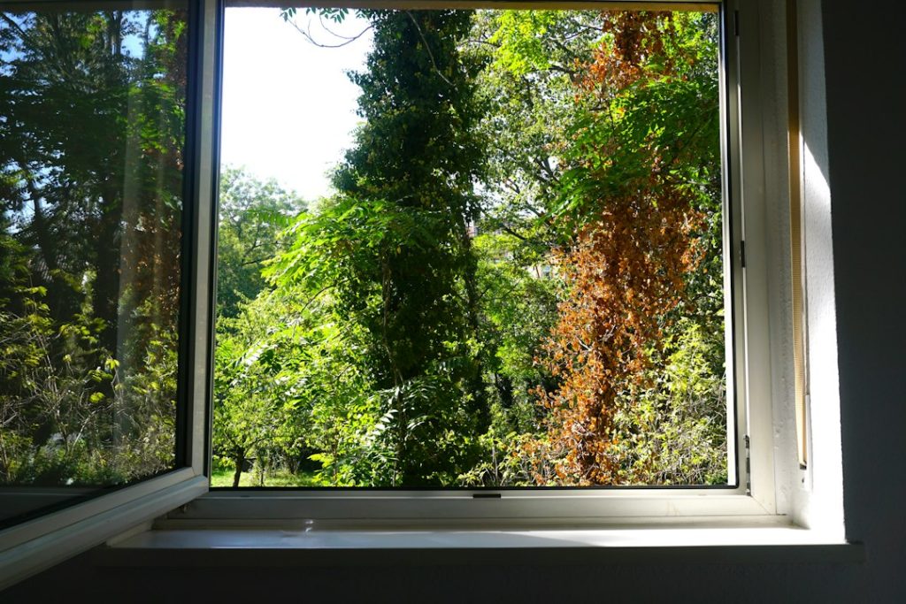 Open residential window and window sash