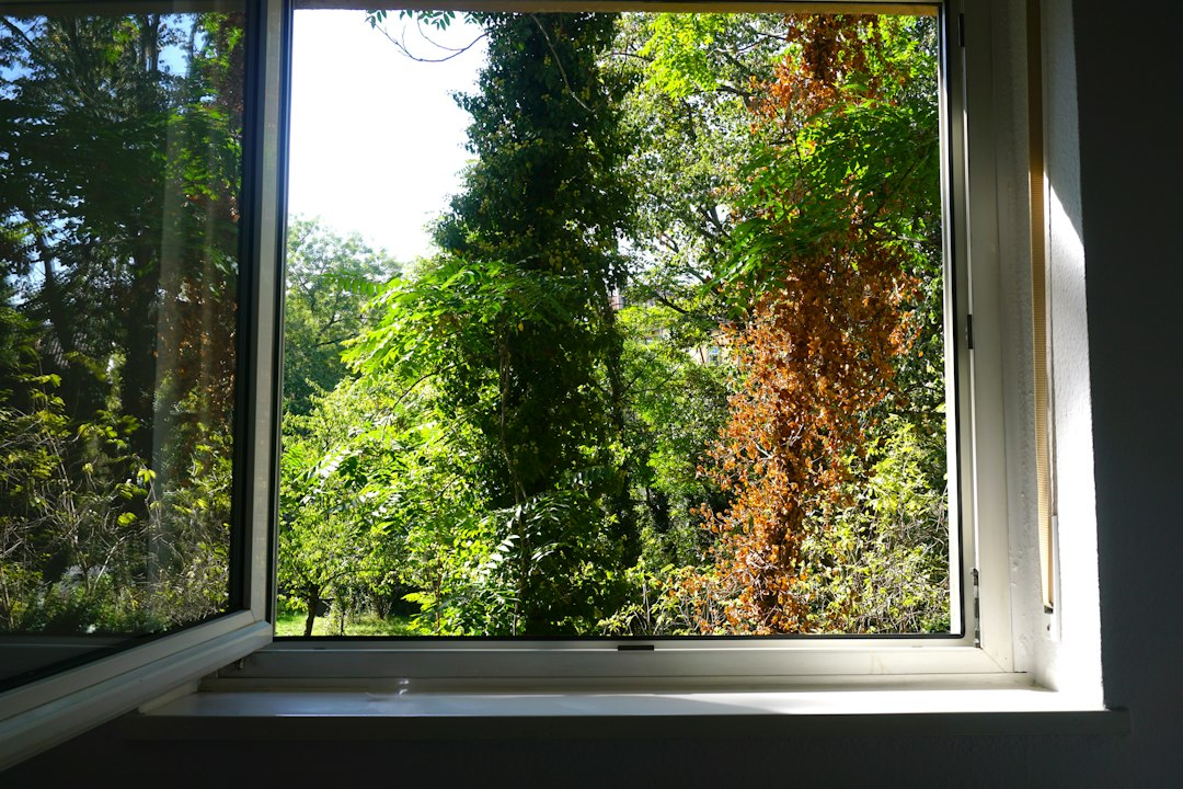 Window Won’t Stay Open? The Sash Balance May Be the Reason
